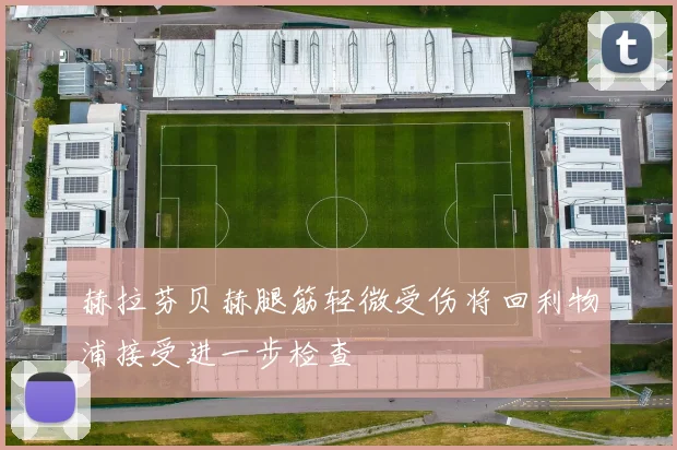 赫拉芬贝赫腿筋轻微受伤将回利物浦接受进一步检查